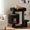 imageBEWISHOME Cat Tree Tower Gothic Cat Tree with Coffin Bed Halloween Gothic Cat House with Scratching Posts Spider Toy Cat Condo for Kittens Black and Red Small MMJ93RBlack and Purple