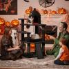 imageBEWISHOME Heavy Cat Tree Larger Gothic Cat Tree with Coffin Bed Halloween Cat Tower for Indoor with Scratching Post Pet Play for Adult Cats Kittens Black with Red MMJ92R
