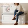 imageBEWISHOME Shoe Storage Bench Shoe Bench with Padded Seat Cushion 500 LB Capacity 2Tier Storage Bench for Entryway Entryway Bench with Adjustable Shelf for Living Room Bedroom Hallway White KHD01W